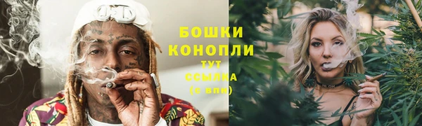 спиды Вяземский