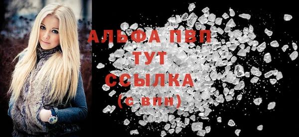спиды Вяземский