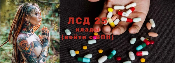 спиды Вяземский
