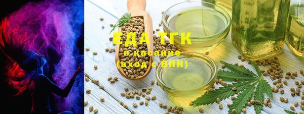 спиды Вяземский
