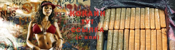 бошки Вязьма