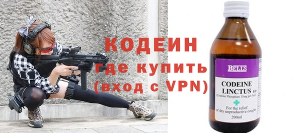 спиды Вяземский