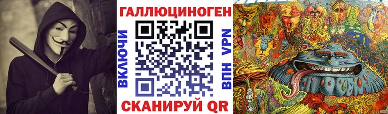закладка  Екатеринбург  Псилоцибиновые грибы Psilocybe 